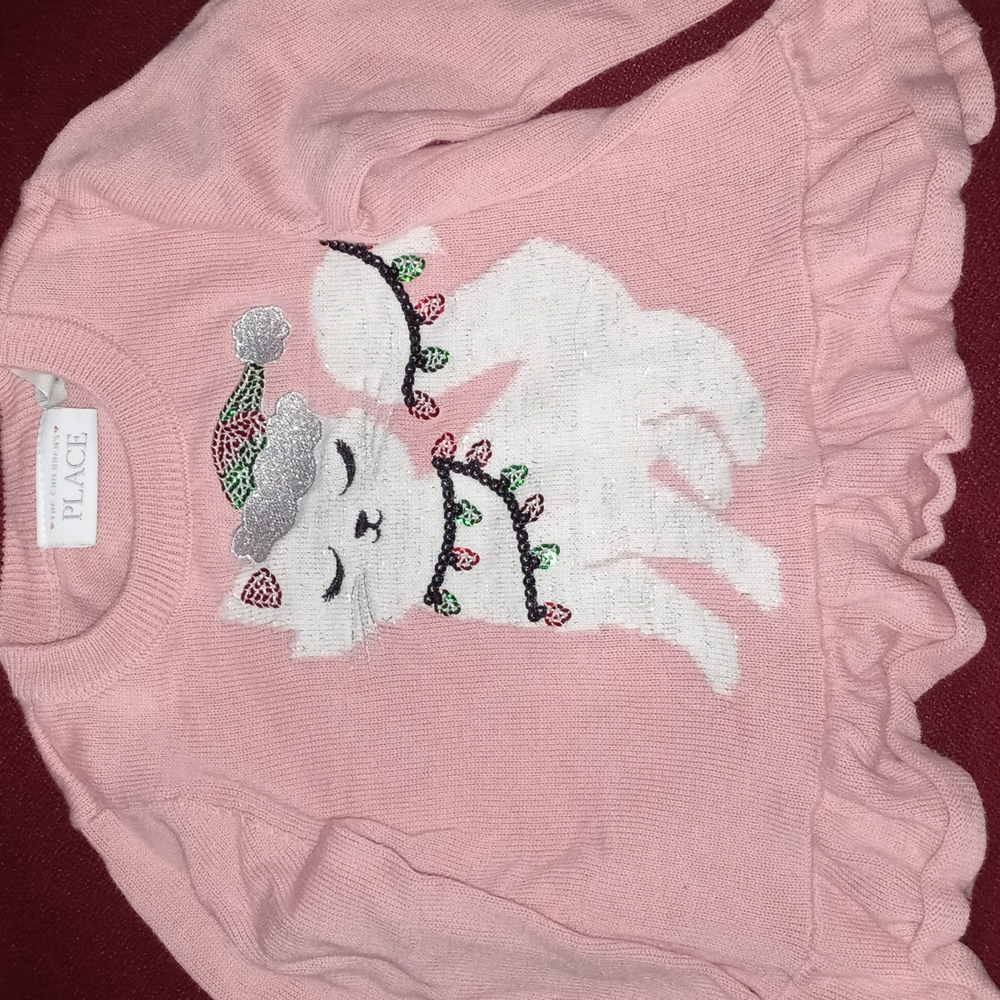 Toodler Cgristmas Cat Sweater